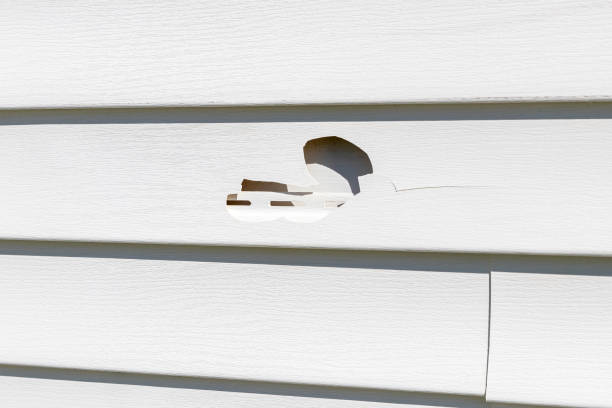 Siding for New Construction in Grafton, ND
