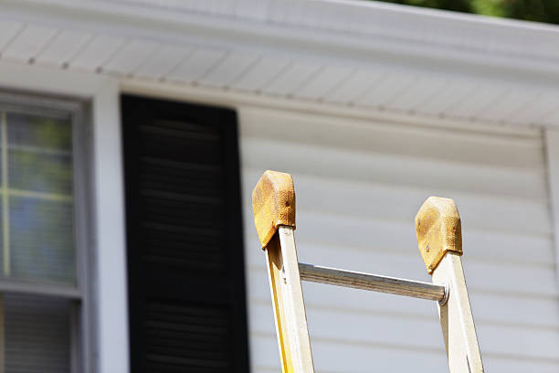 Best Siding Painting and Refinishing  in Grafton, ND